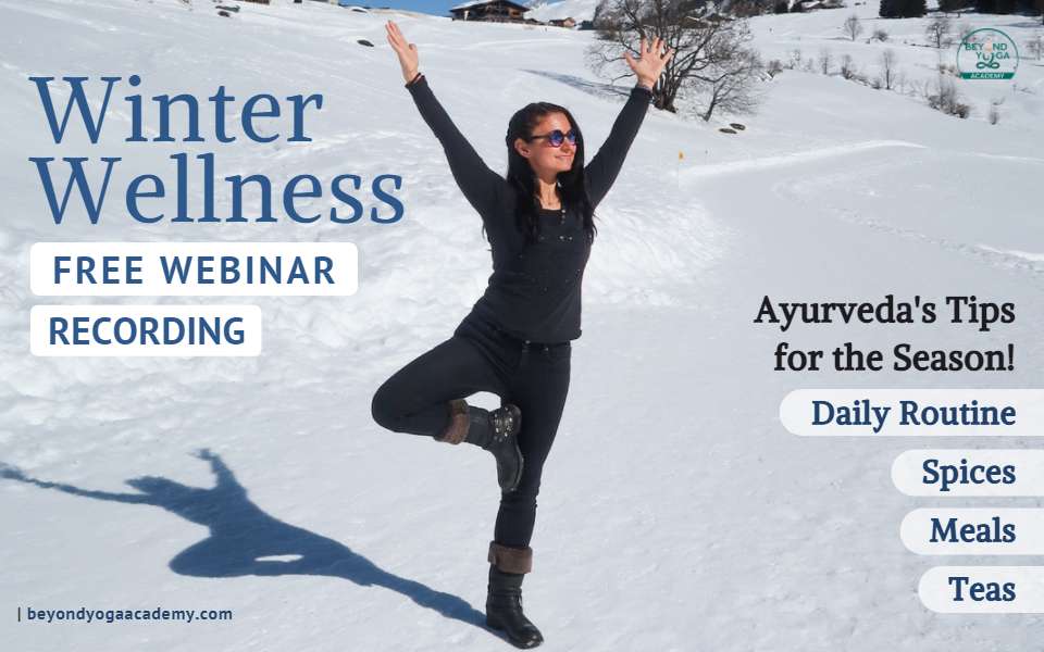 winter wellness webinar recording